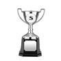 Nickel Plated Trophy thumbnail